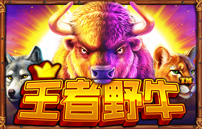 HY5567:COM-WWW:HY5567:COM